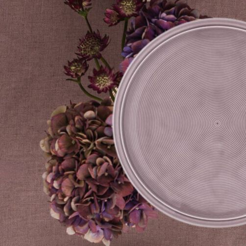 Trend Lavender Lilac plate on a lilac background