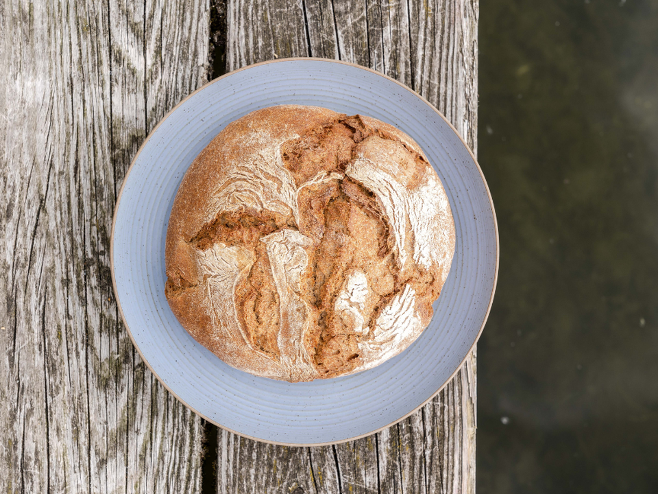 A round loaf of farmhouse bread on a light blue plate, photographed from above.