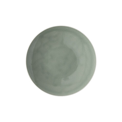 Plate 22 cm