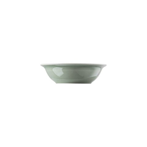 Coppa 17 cm