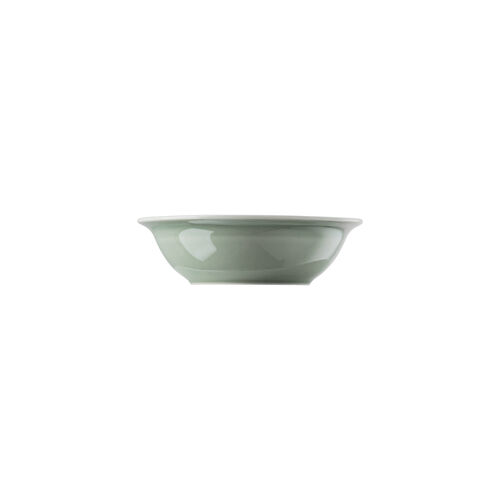 Bowl 17 cm