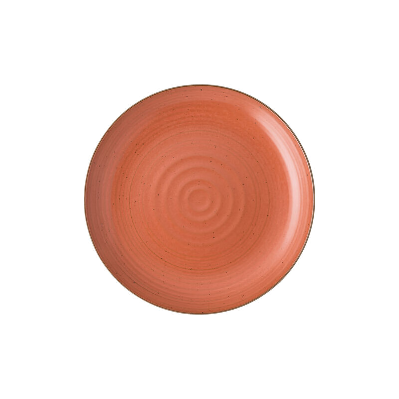 Plate 22 cm