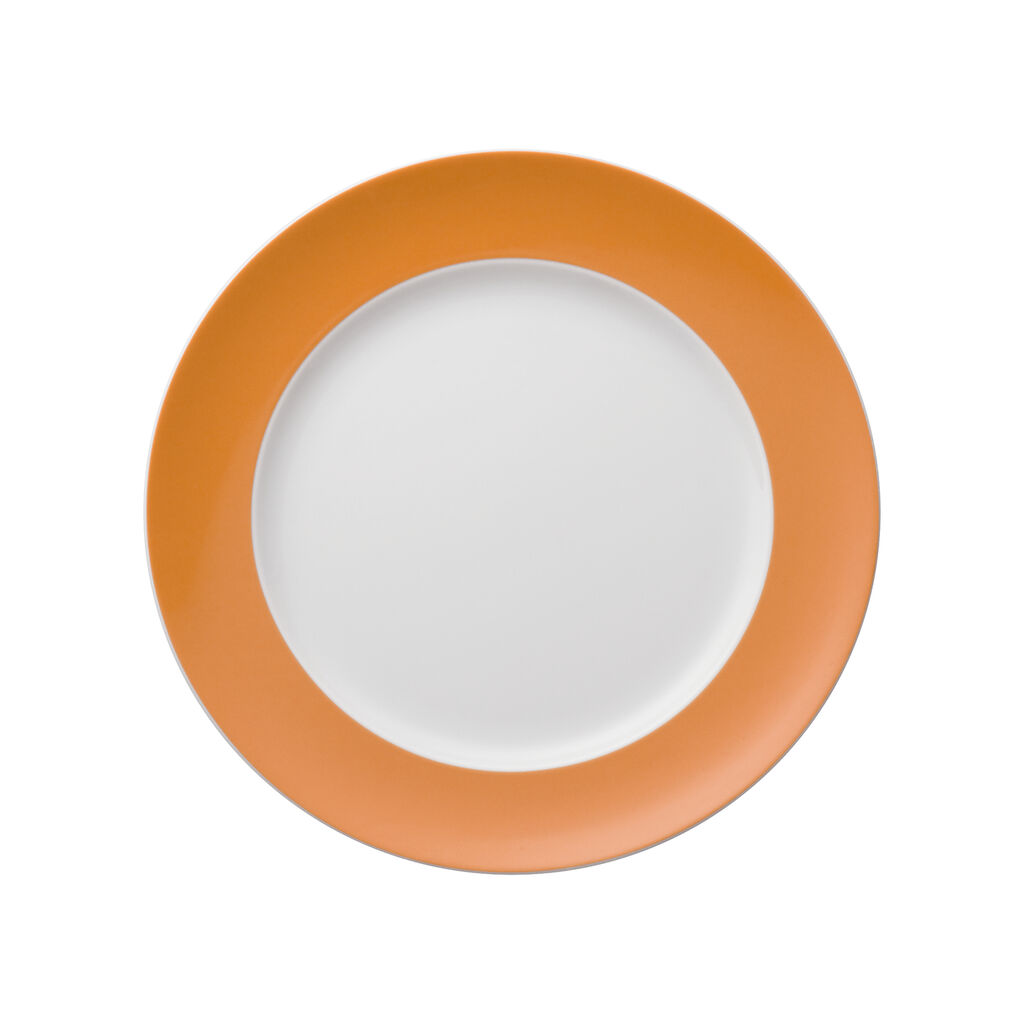 Assiette plate 27 cm image number 0