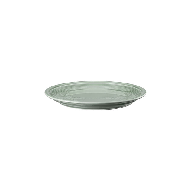 Plate 20 cm image number 1