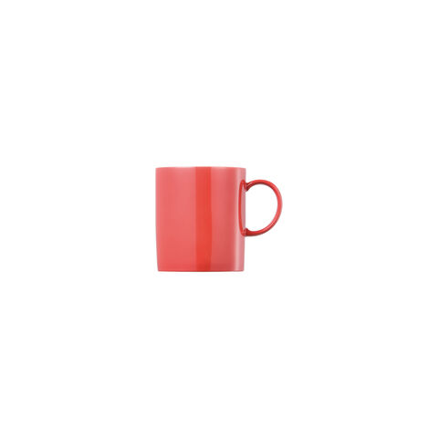 Mug with handle