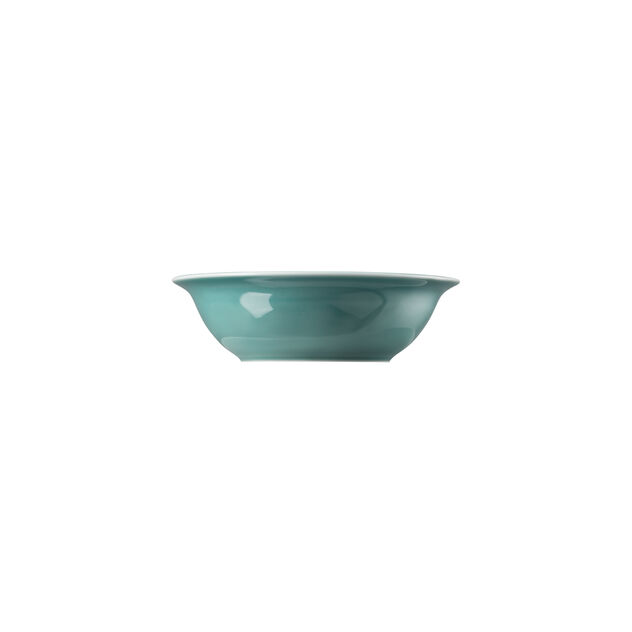 Bowl 17 cm image number 0