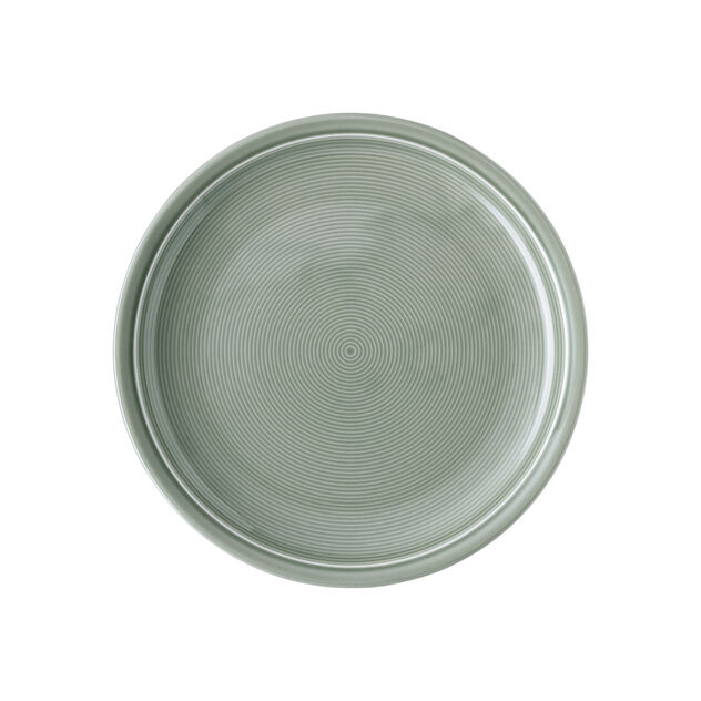 Assiette plate 26 cm image number 0