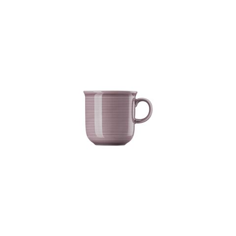 Mug with handle