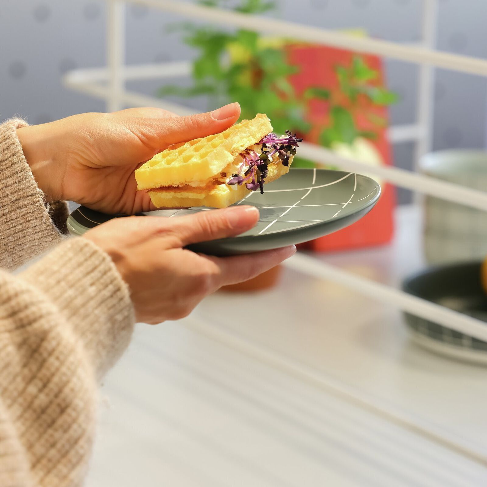 Piatto 22 cm image number null