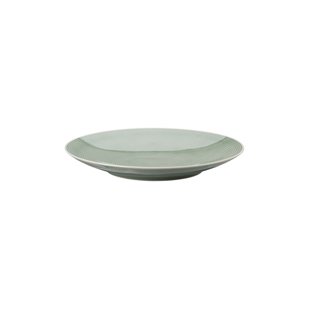 Plate 22 cm image number 1