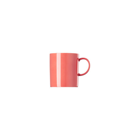 Mug with handle
