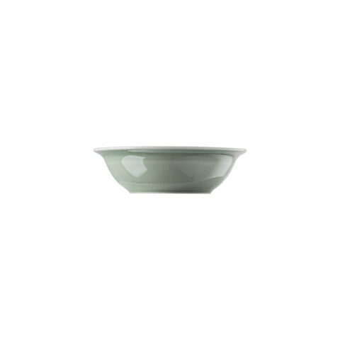 Coppa 17 cm