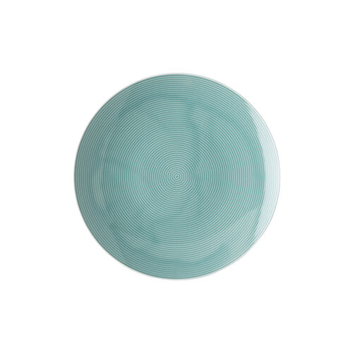 Plate 22 cm
