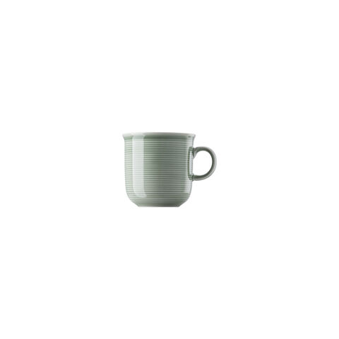 Mug with handle