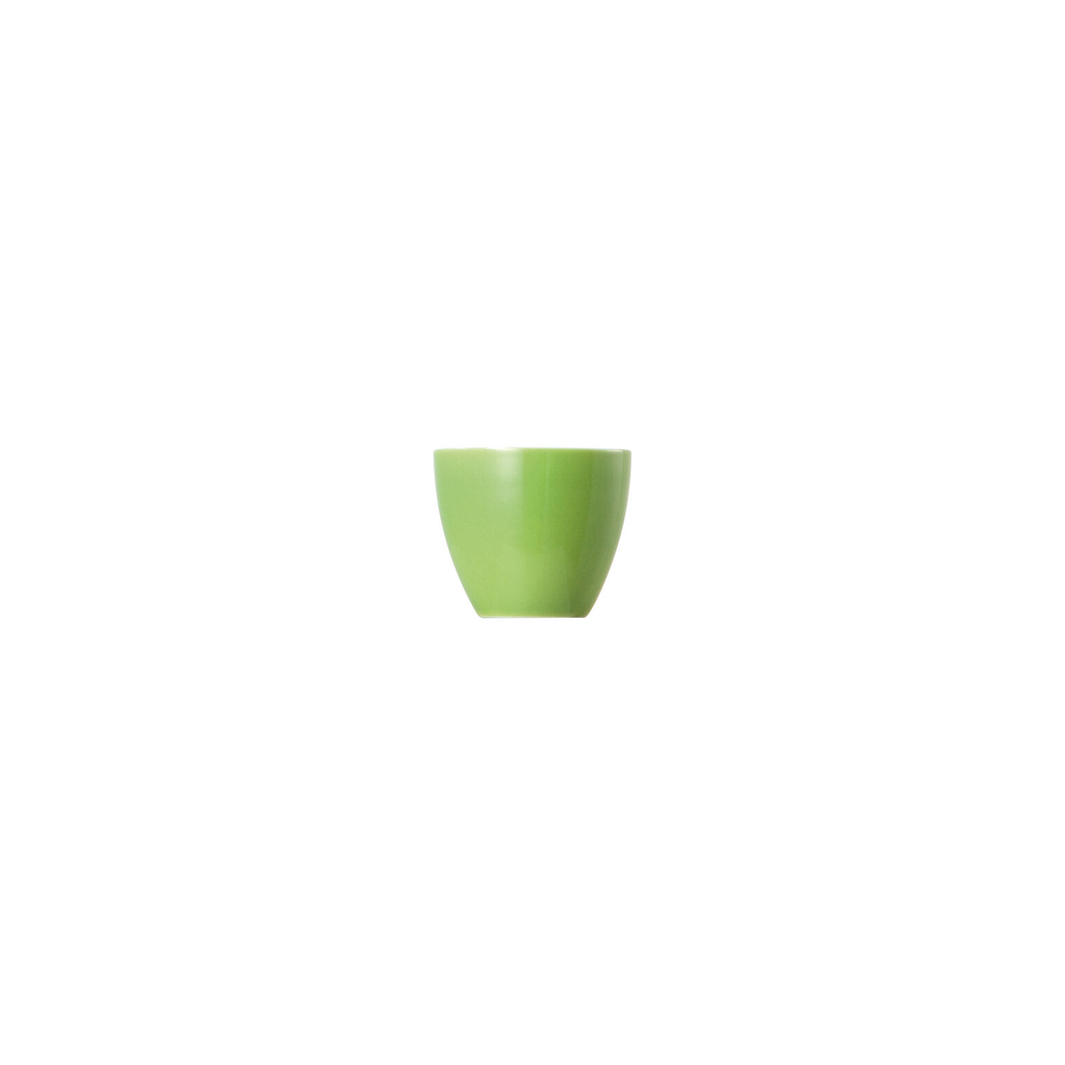 Thomas Sunny Day Apple Green Schüssel rund 25 cm gruen Schale gross Porzellan ge 