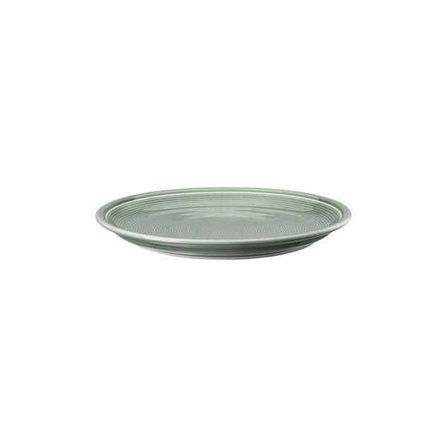 Plate 22 cm image number 1